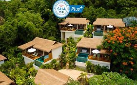 Wild Cottages Luxury And Natural (Adults Only)